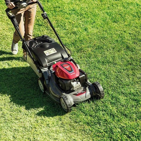 Dụng cụ Ngân Ngọc